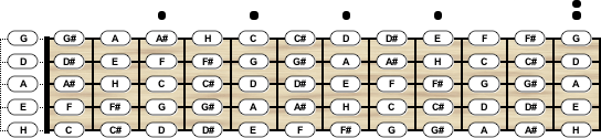 5-Saiten Bassgitarre-Stimmung Standard