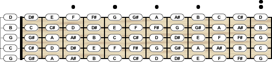 5-String Banjo Tuning C