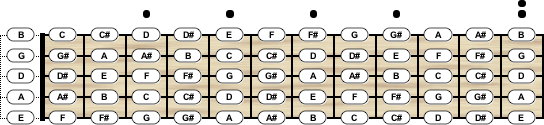 Guitar Tuning - Chord Scale Generator